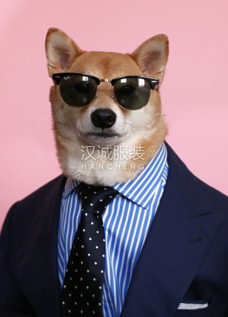 ���������������Ʒζ